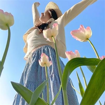 月光骑士第一季